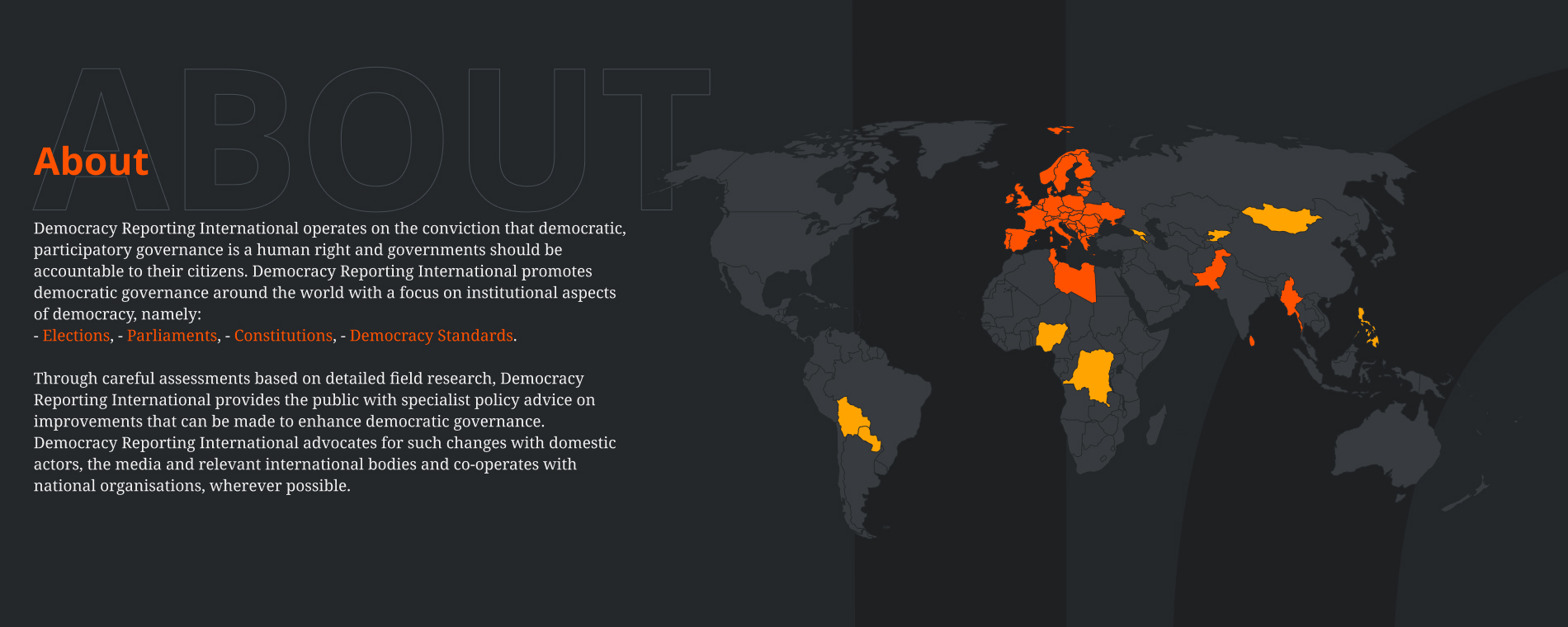 Democracy Reporting International (DRI)